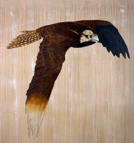  faucon sacre falco cherrug extinction protégé disparition thierry bisch Thierry Bisch artiste peintre contemporain animaux tableau art décoration biodiversité conservation 